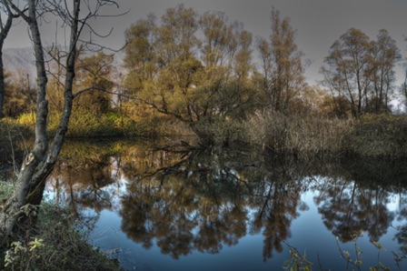 Bolle di Magadino (CH)